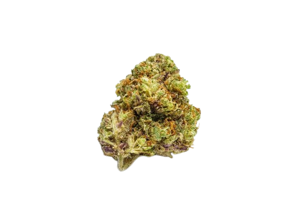 Premium Stardawg